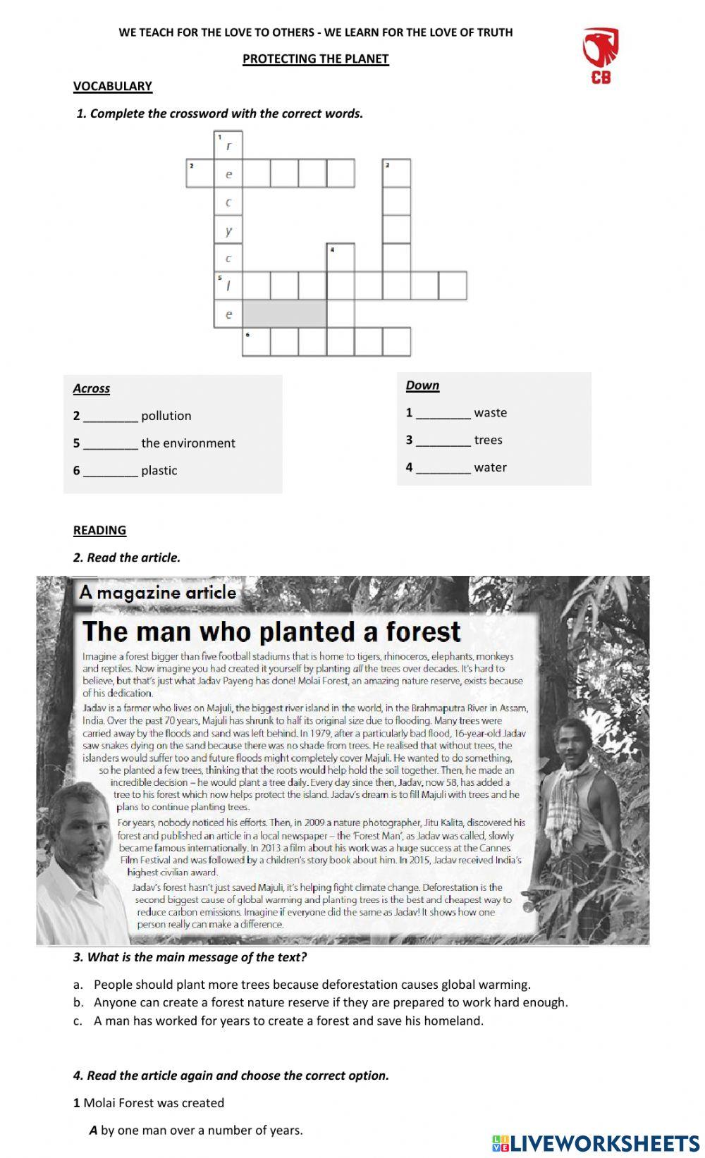 The Environment - 2nd year