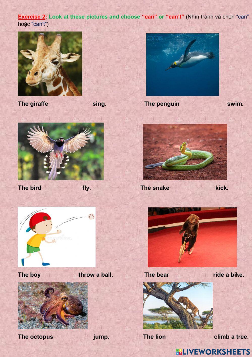 AS1 Unit 5 Lesson 1 & 2