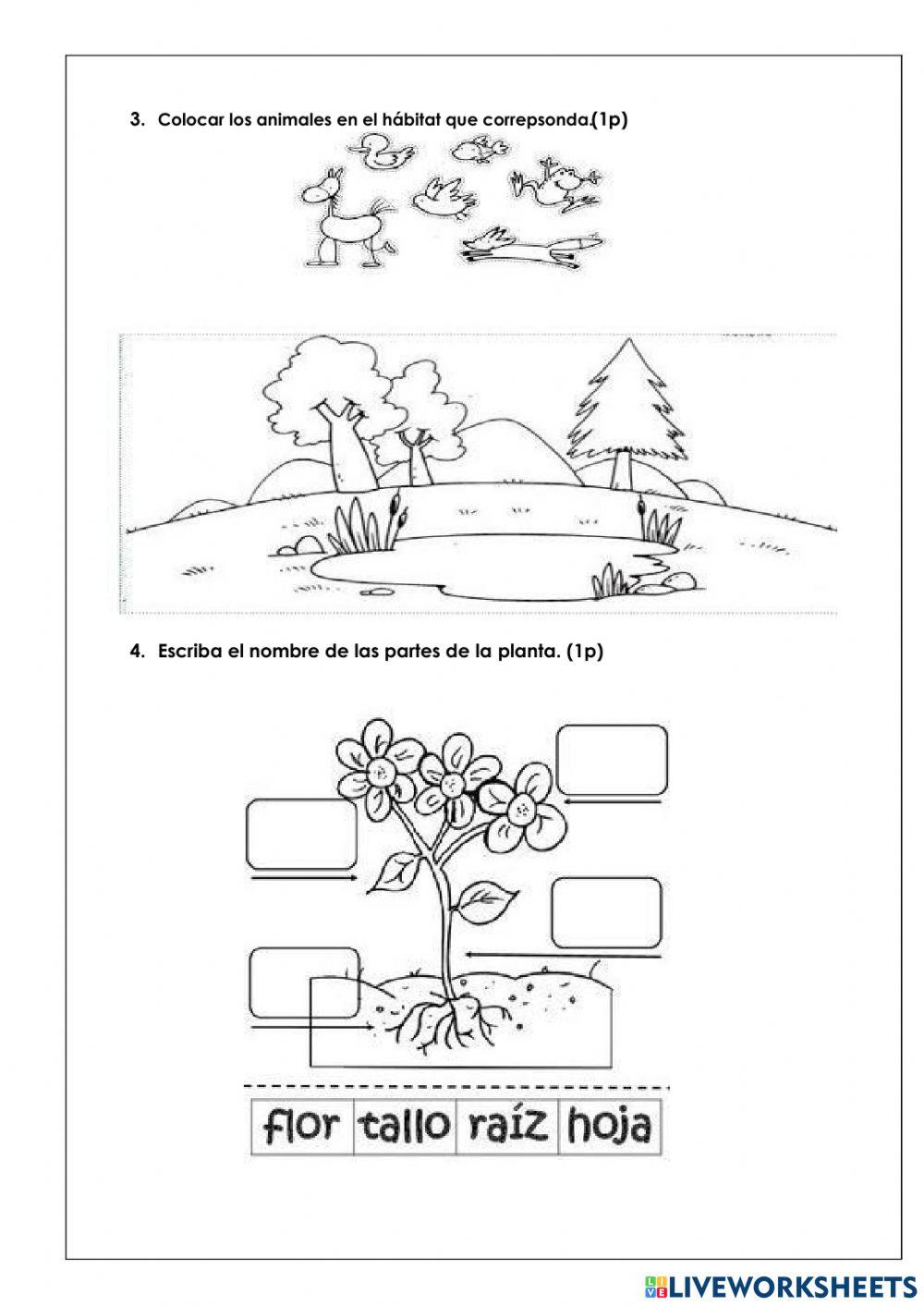 Examen de Ciencias Naturales