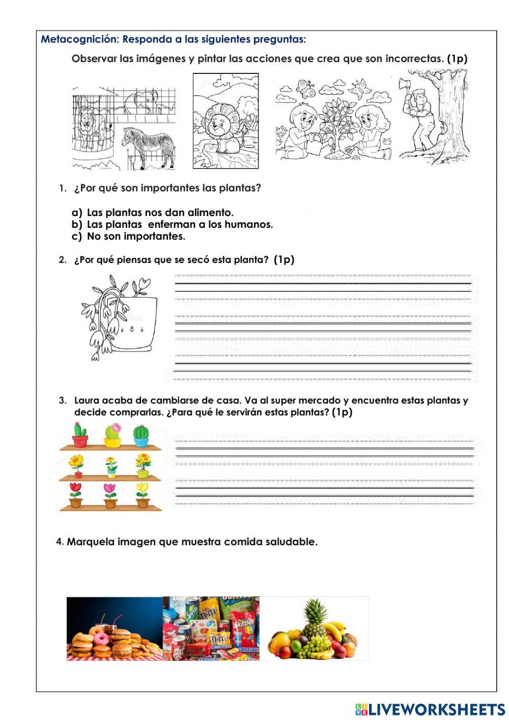 Examen de Ciencias Naturales