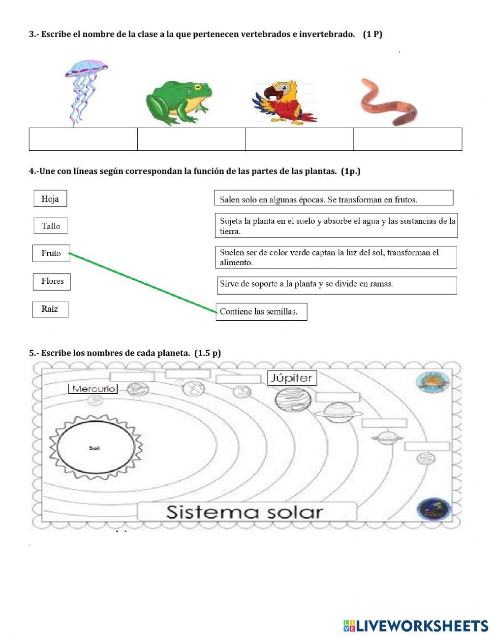 Examen de ciencias  naturales