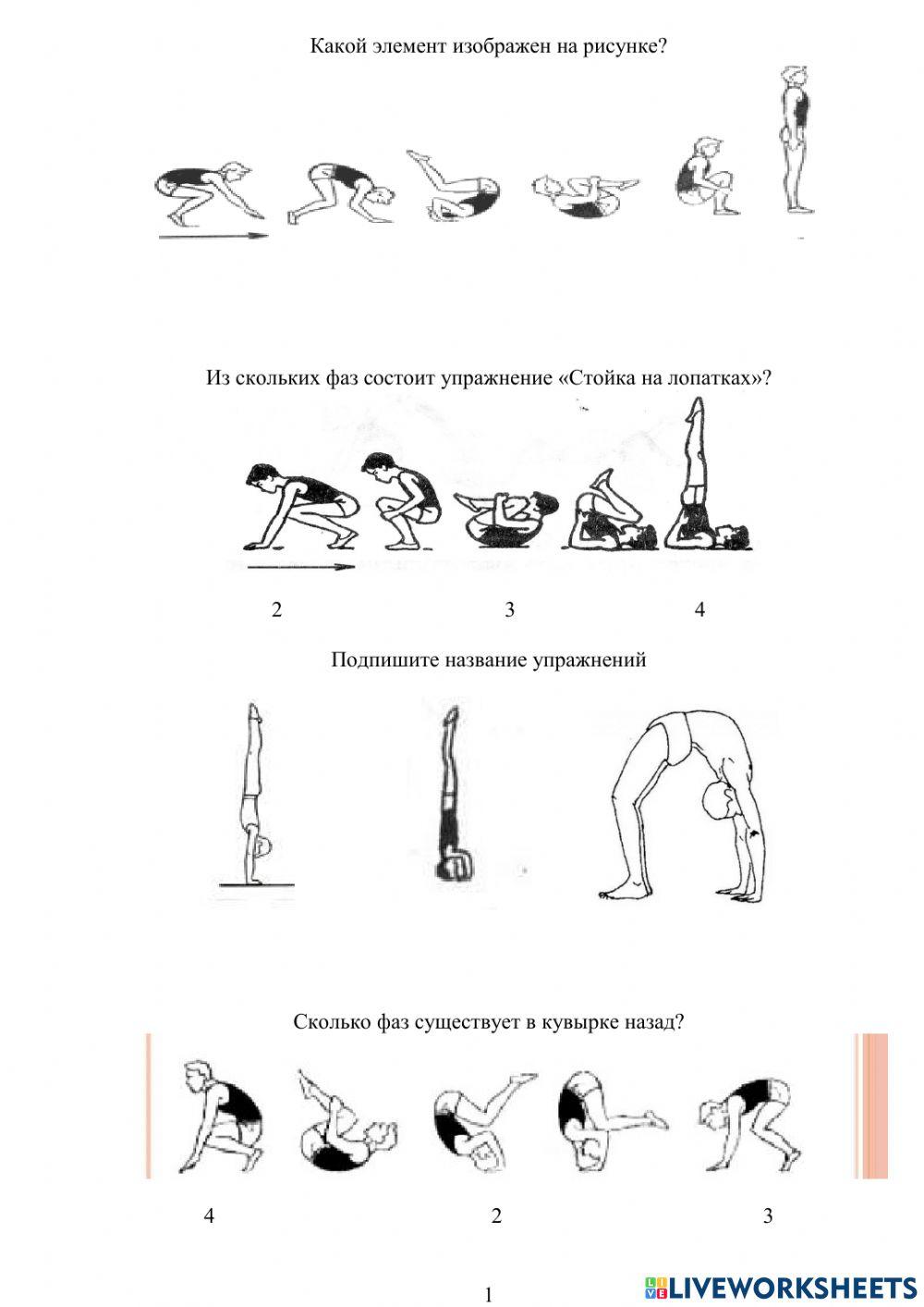 Тест гимнастика