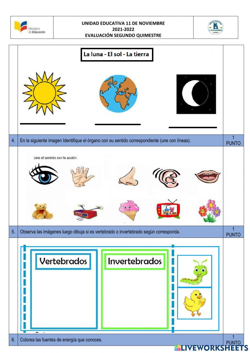 ADAPTACION Evaluacion de ciencias naturales