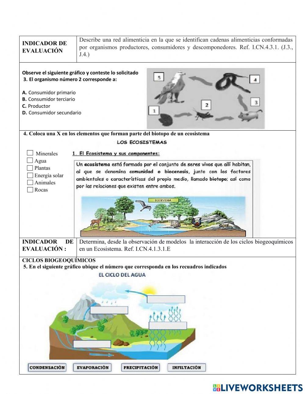 Nee evaluación de quimestre