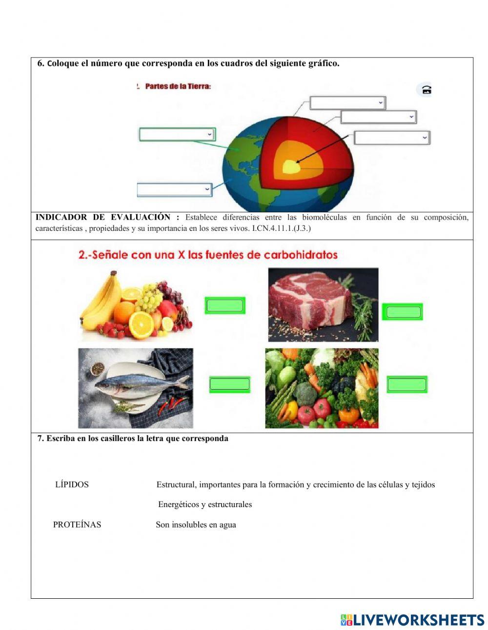 Nee evaluación de quimestre