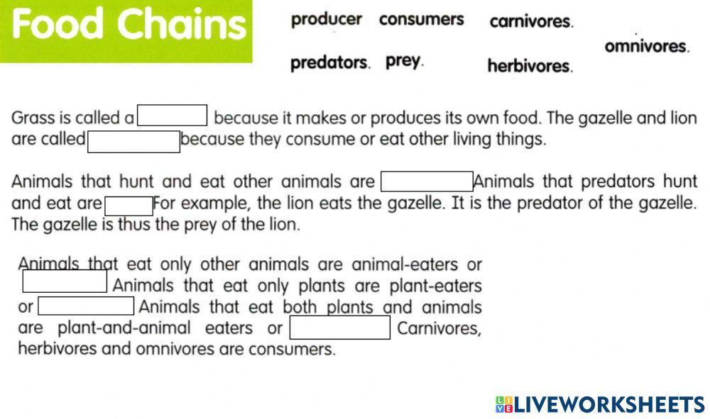 Sm sd 6 science food CHAINS