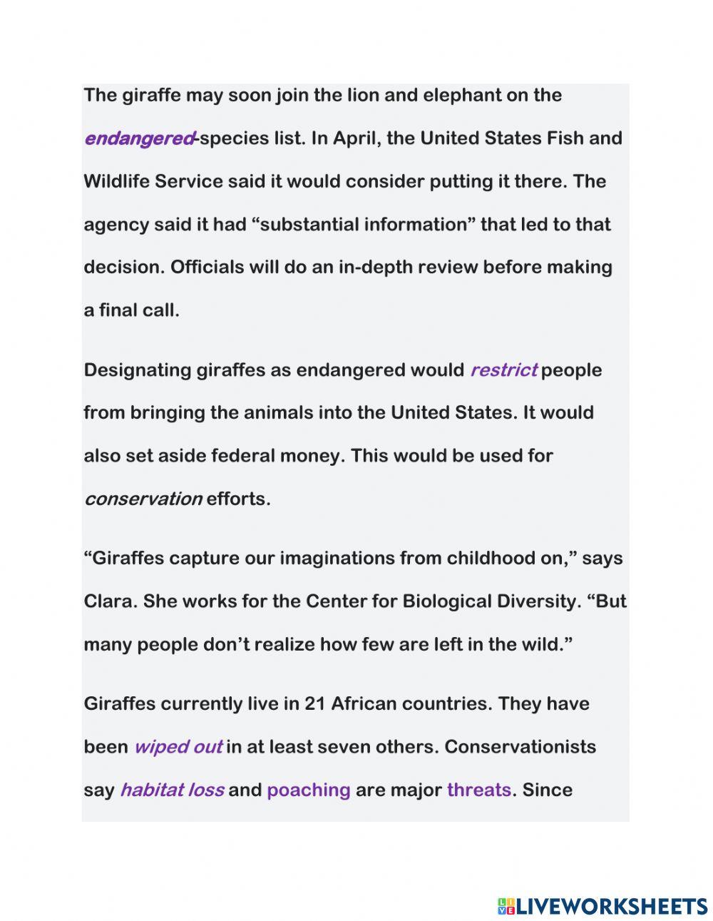 Reading comprehension