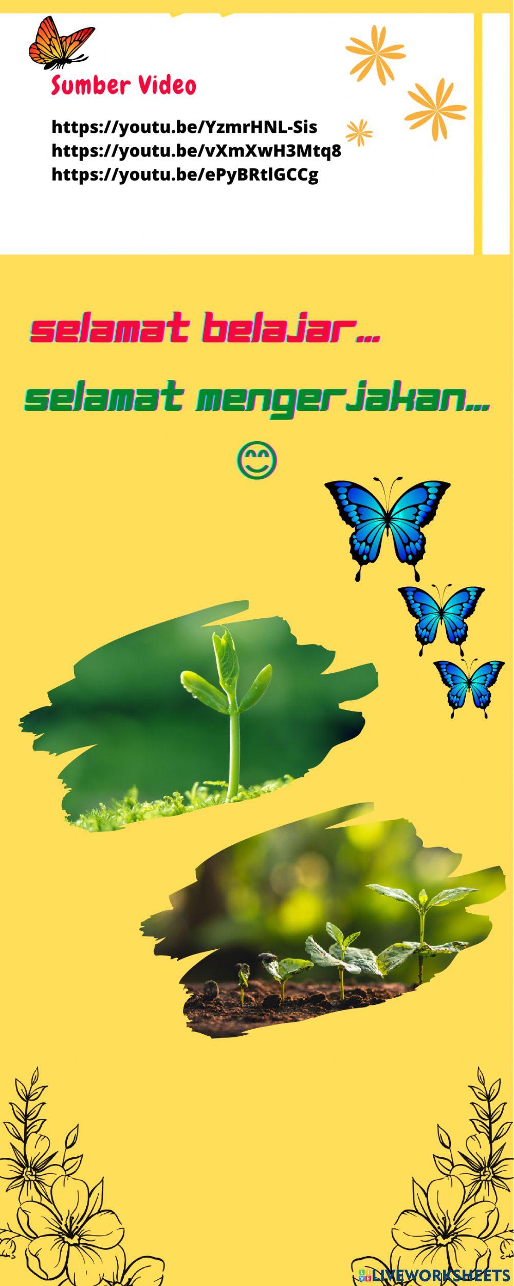 E-LKPD Pertumbuhan dan Perkembangan Tumbuhan