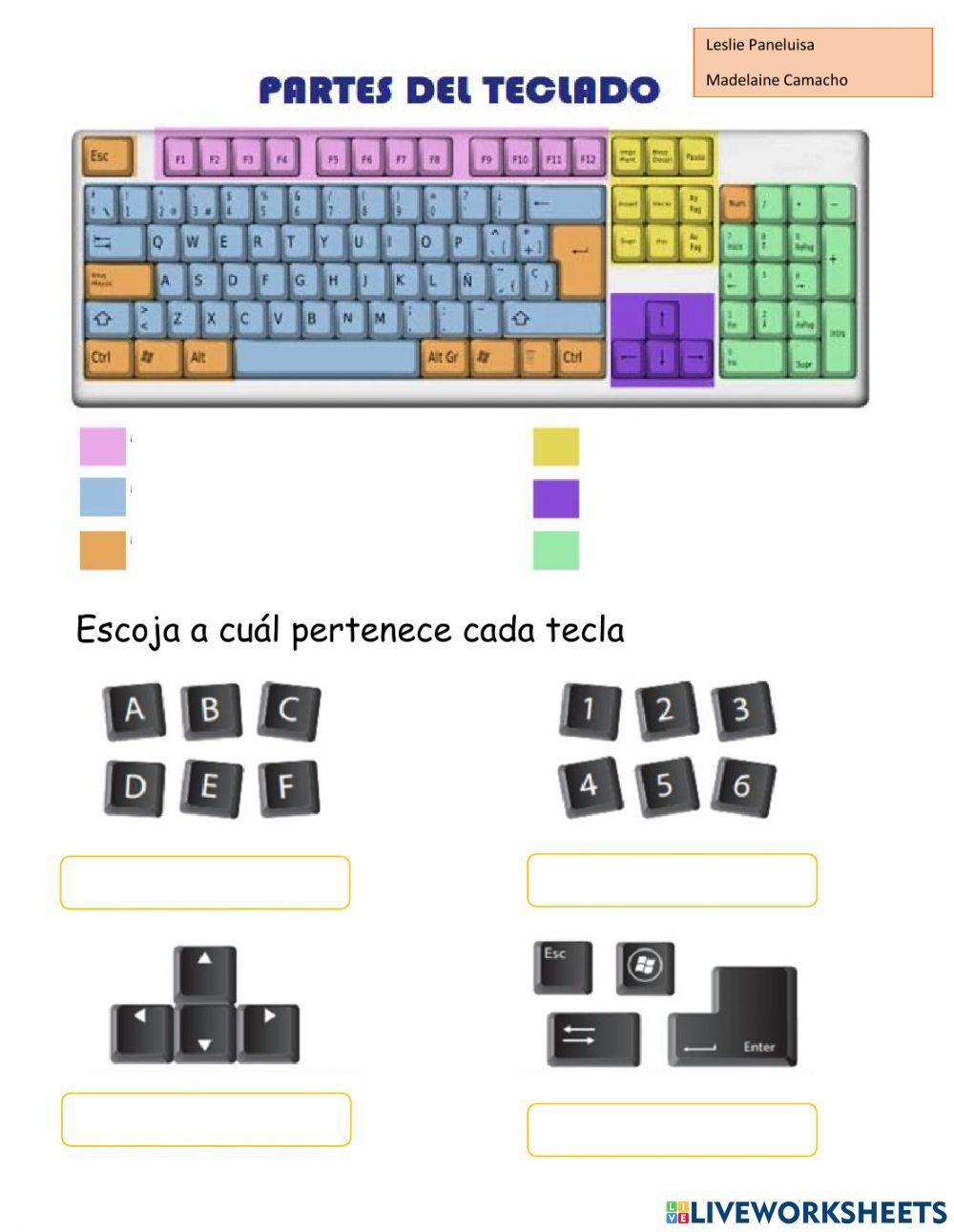 Partes del teclado