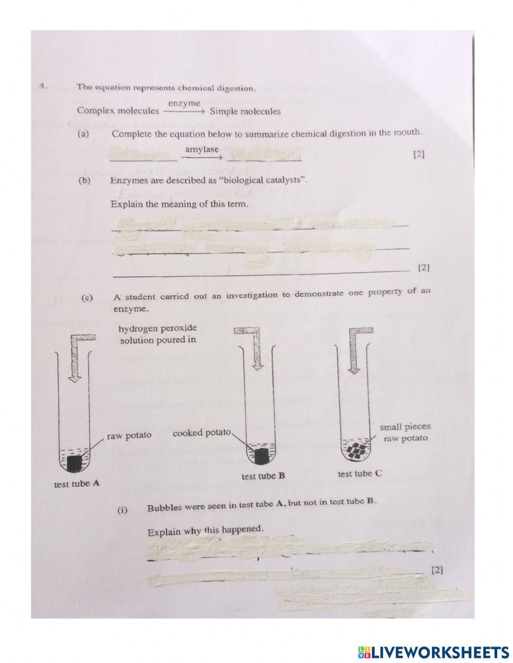Homework in Enzymes online exercise for | Live Worksheets