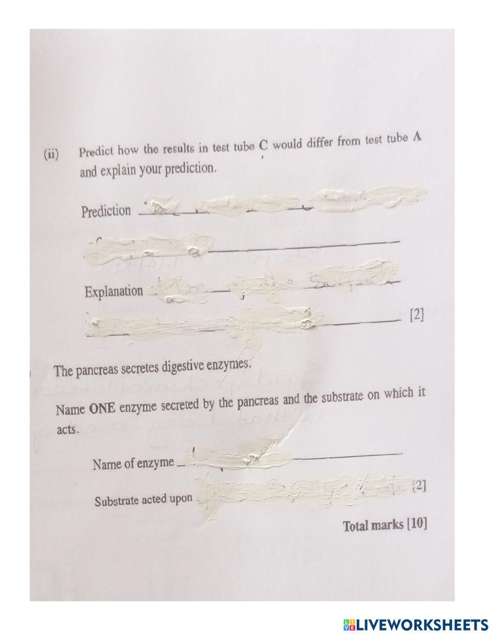 Homework in Enzymes online exercise for | Live Worksheets