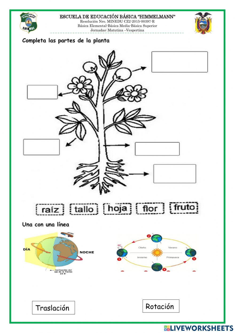 Adaptación curricular