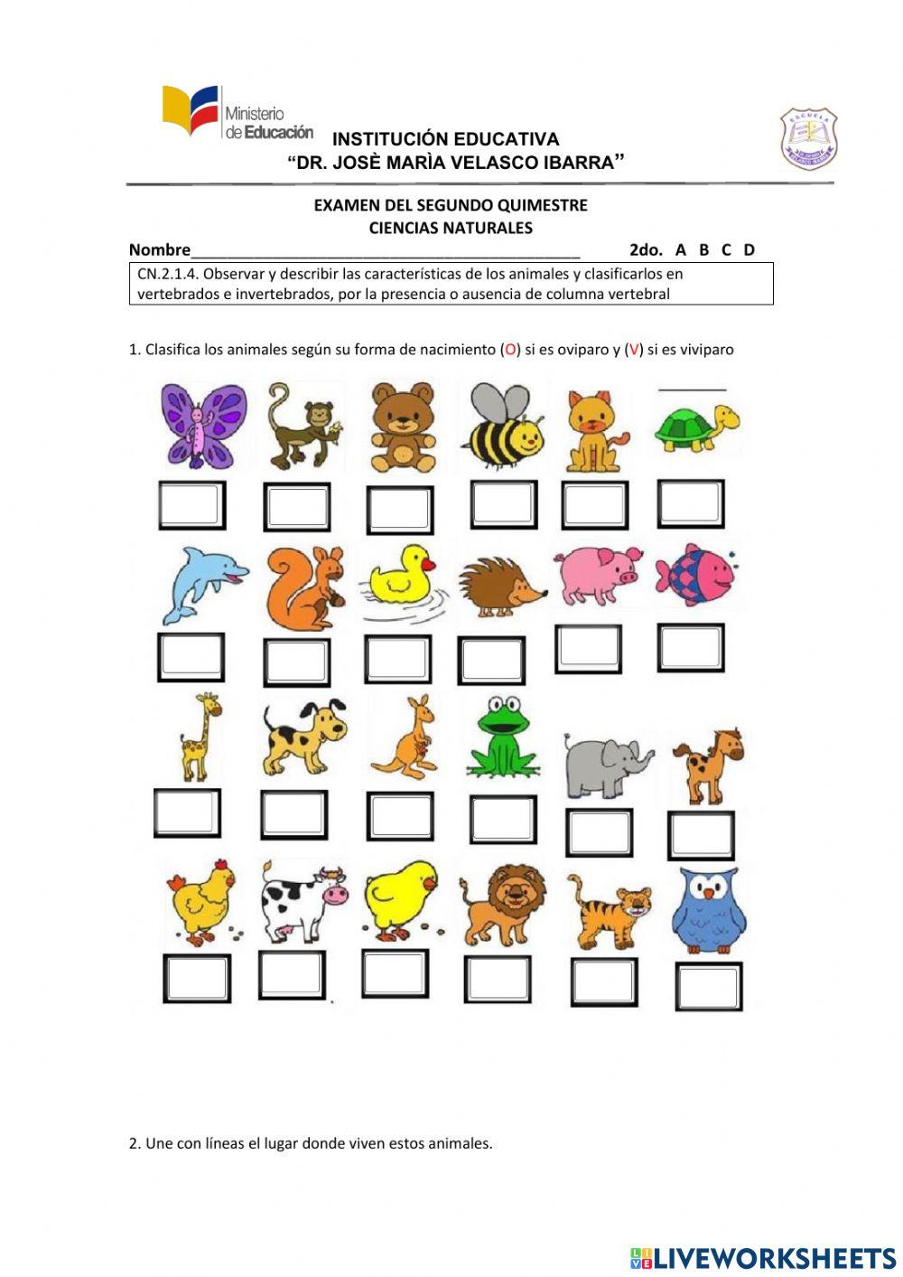 Evalucación de ccnn