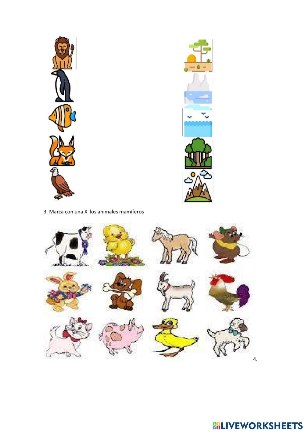 Evalucación de ccnn