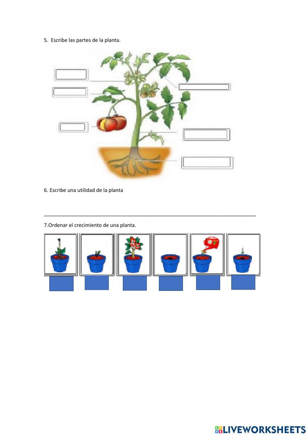 Evalucación de ccnn