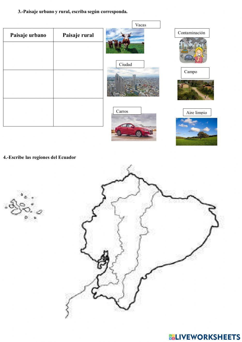 Examen de estudios sociales