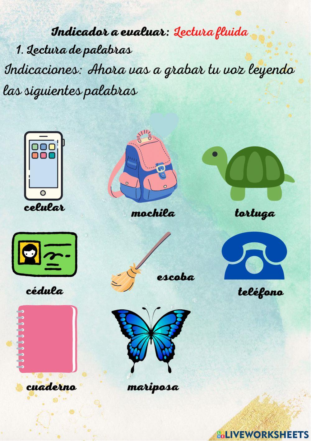 Test guiado: Ritmos de aprendizaje y niveles de lectoescritura