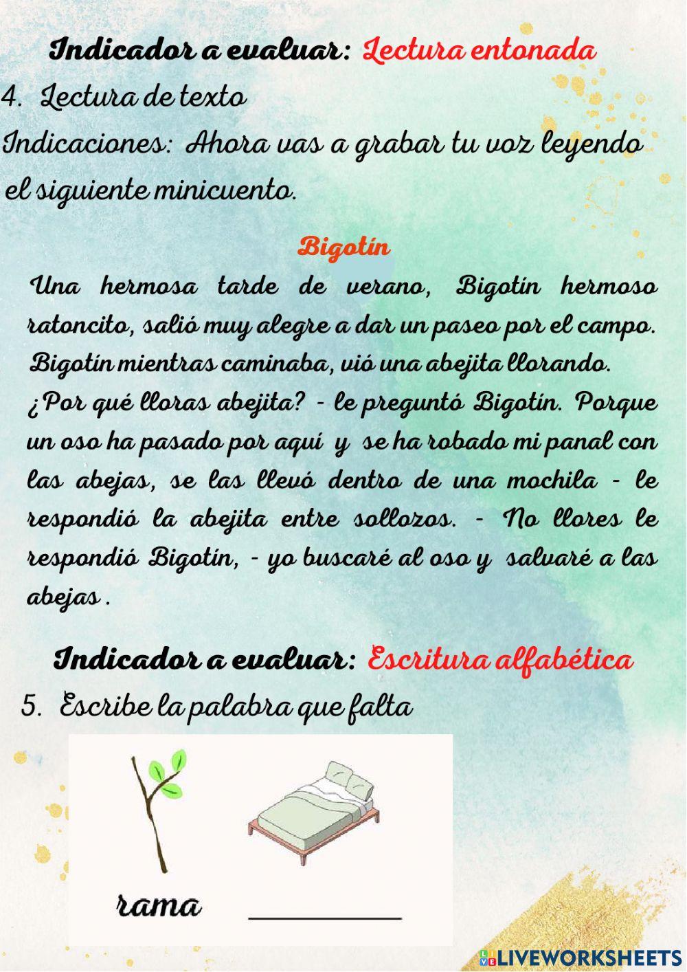 Test guiado: Ritmos de aprendizaje y niveles de lectoescritura