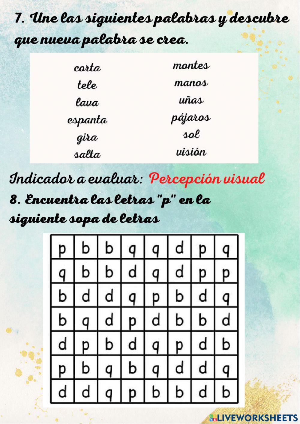 Test guiado: Ritmos de aprendizaje y niveles de lectoescritura