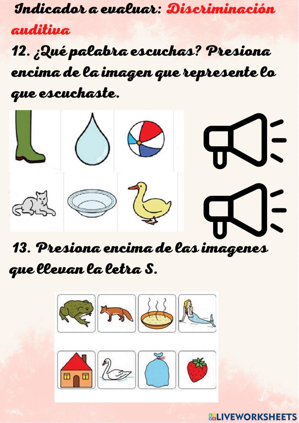 Test guiado: Ritmos de aprendizaje y niveles de lectoescritura