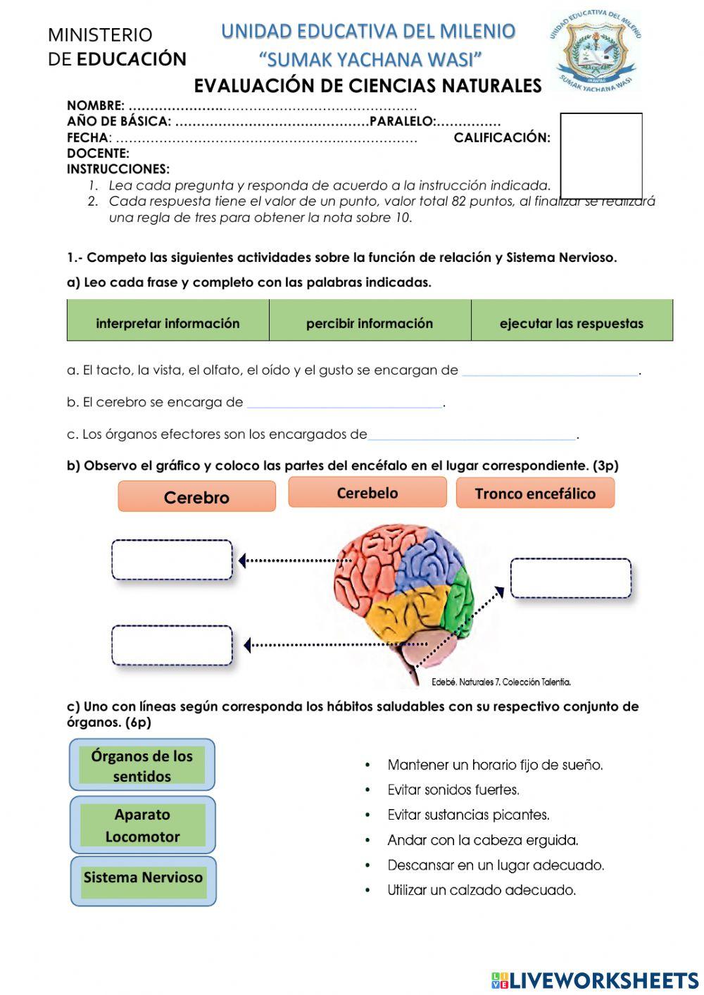 Evaluación Ciencias Naturales