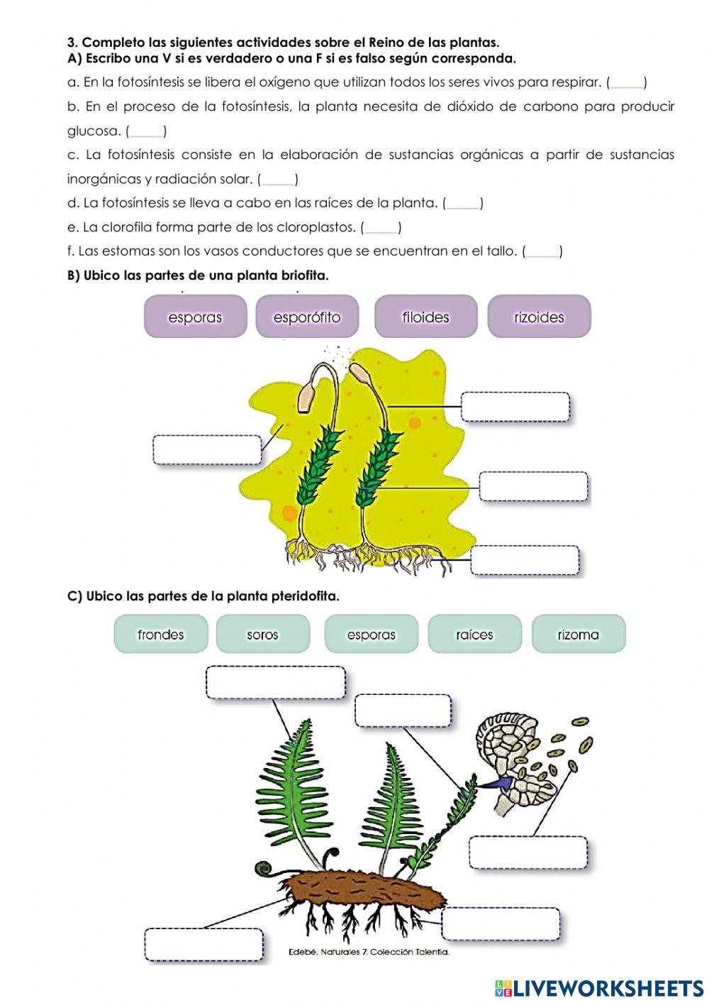 Evaluación Ciencias Naturales