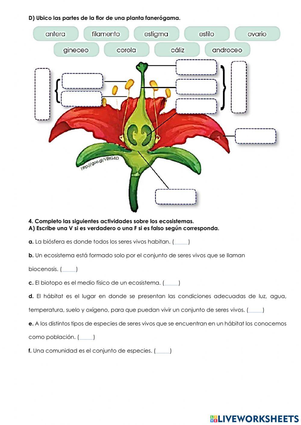Evaluación Ciencias Naturales