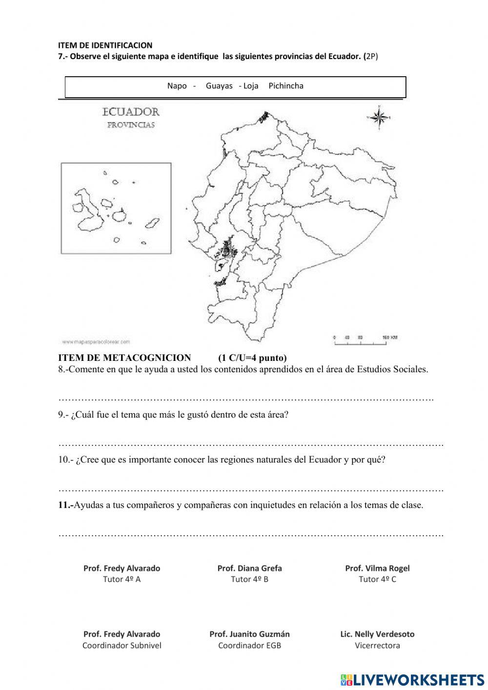 EE.SS evaluación metacognitiva