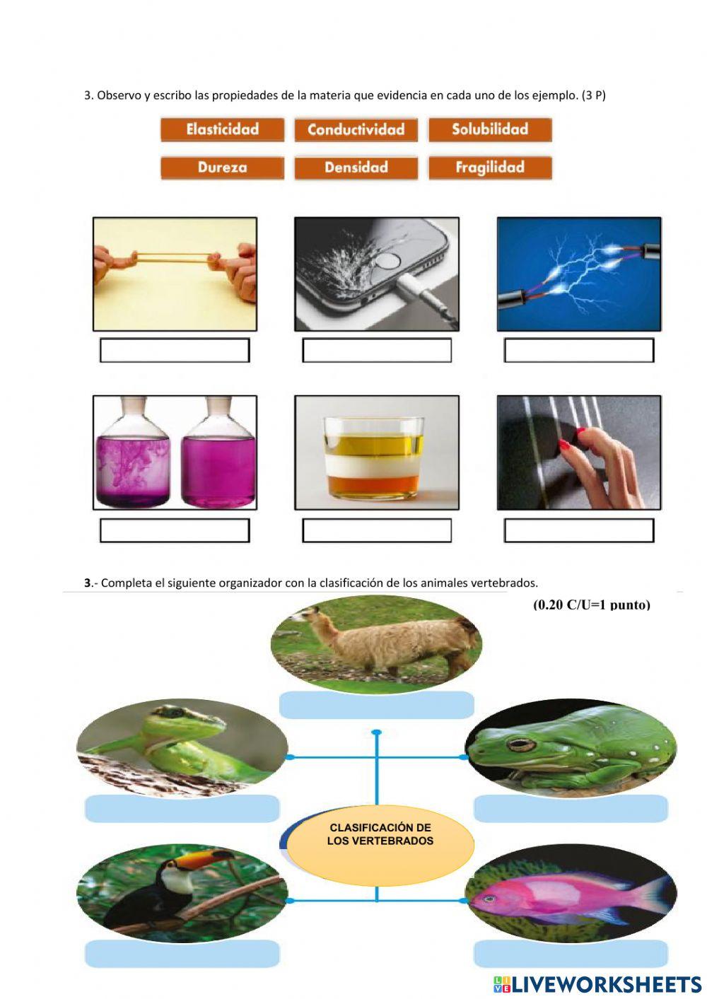 CC.NN evaluación metacognitiva