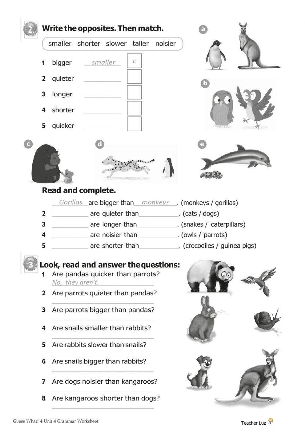 GW4 Unit4 Vocabulary-Grammar