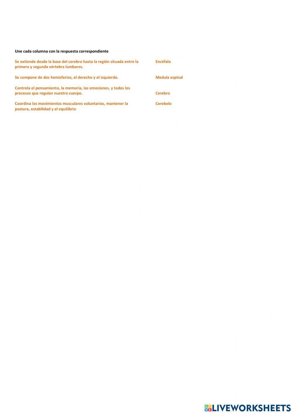 SISTEMA NERVIOSO 4°