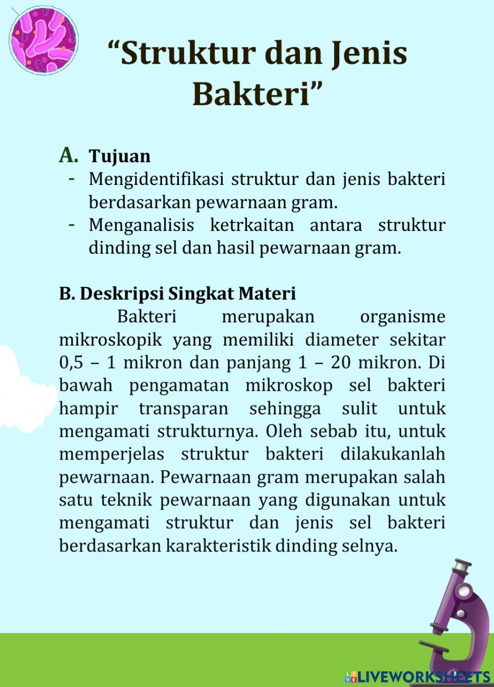 Pewarnaan Gram Bakteri