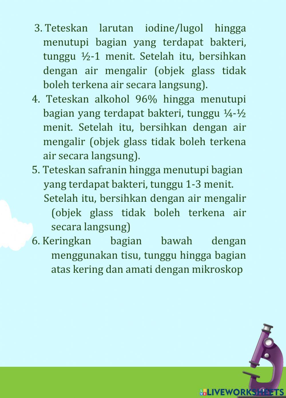 Pewarnaan Gram Bakteri