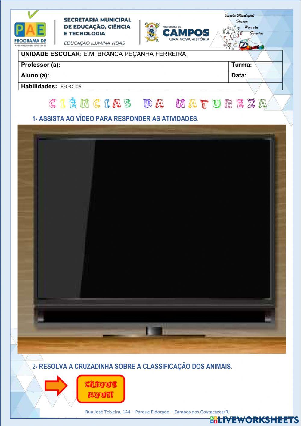 Classificação dos animais - EF03C104 - Comparar alguns animais e organizar grupos com base em características externas comuns (presença de penas, pelos, escamas, bico, garras, antenas, patas etc.).