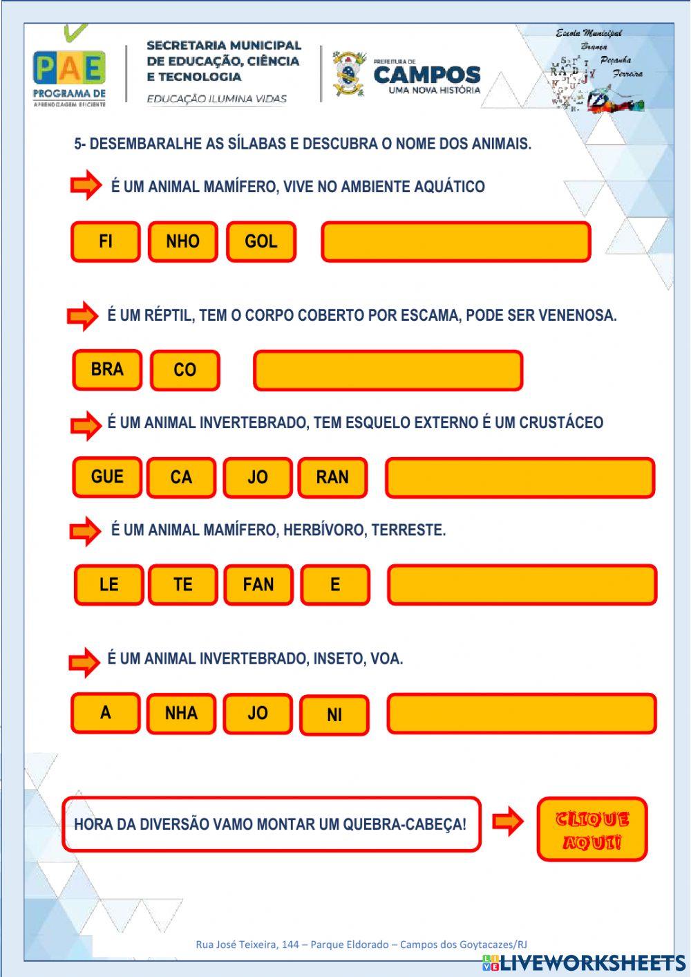 Classificação dos animais - EF03C104 - Comparar alguns animais e organizar grupos com base em características externas comuns (presença de penas, pelos, escamas, bico, garras, antenas, patas etc.).