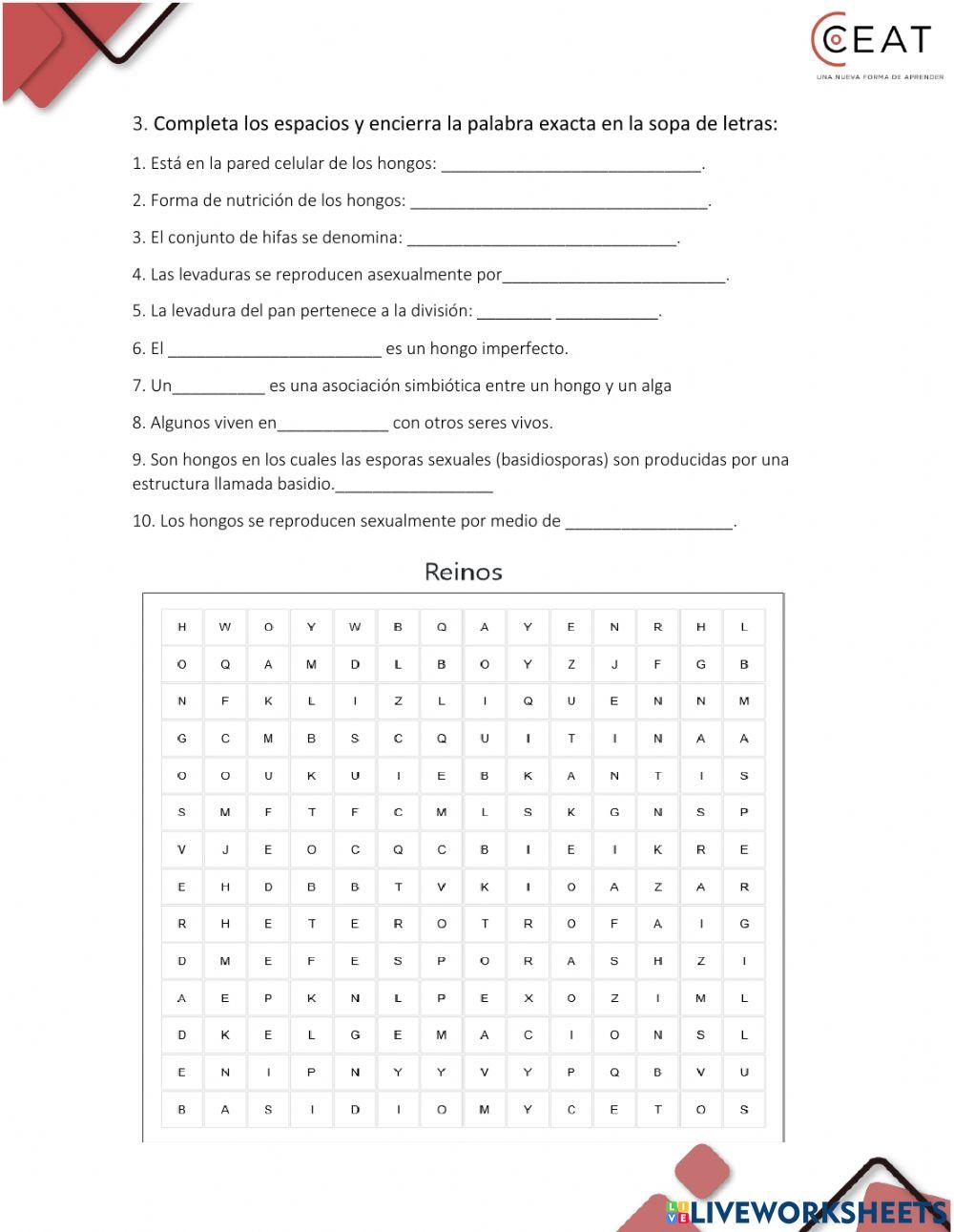 Reinos de los seres vivos