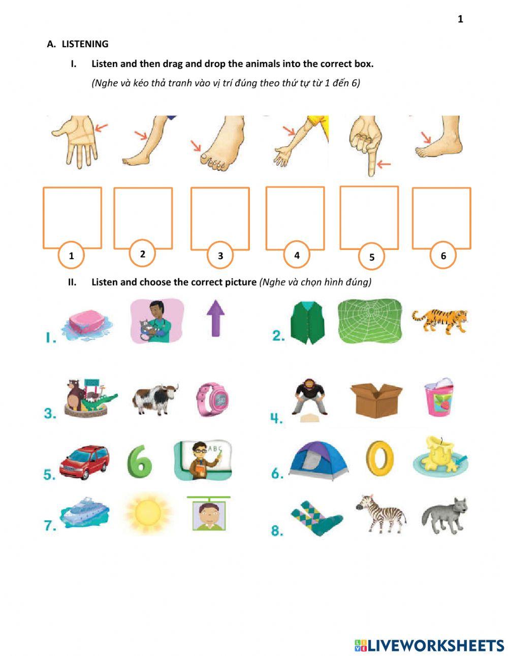 Test Phonics and Up1