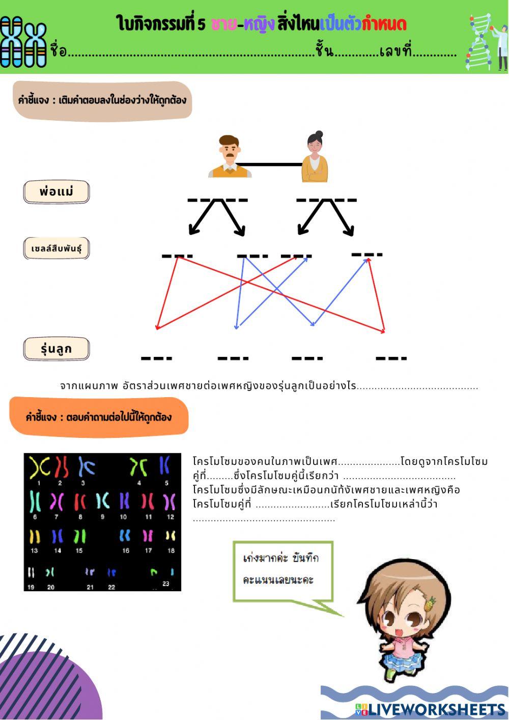 โครโมโซมในเซลล์ร่างกายมนุษย์