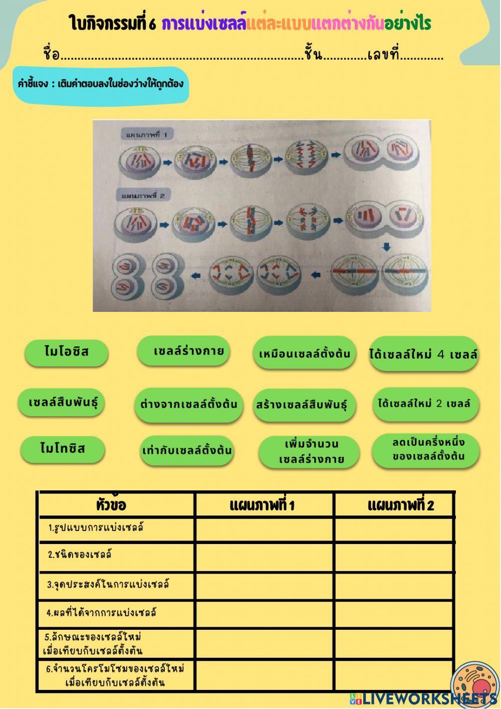 การแบ่งเซลล์