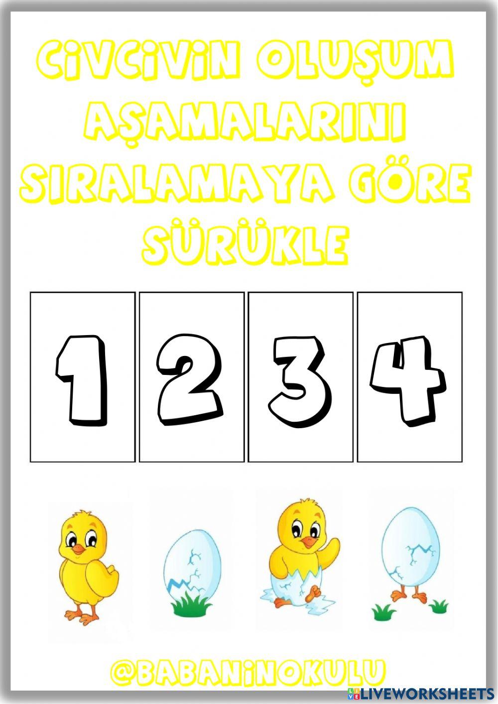 CİVCİVİN OLUŞUMU