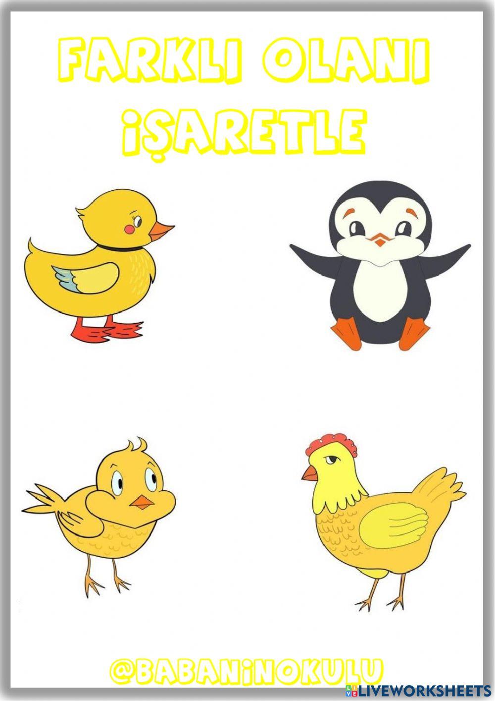 CİVCİVİN OLUŞUMU