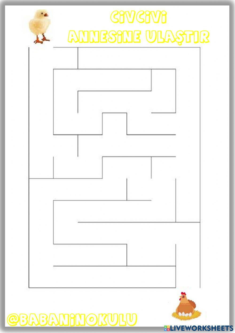 CİVCİVİN OLUŞUMU