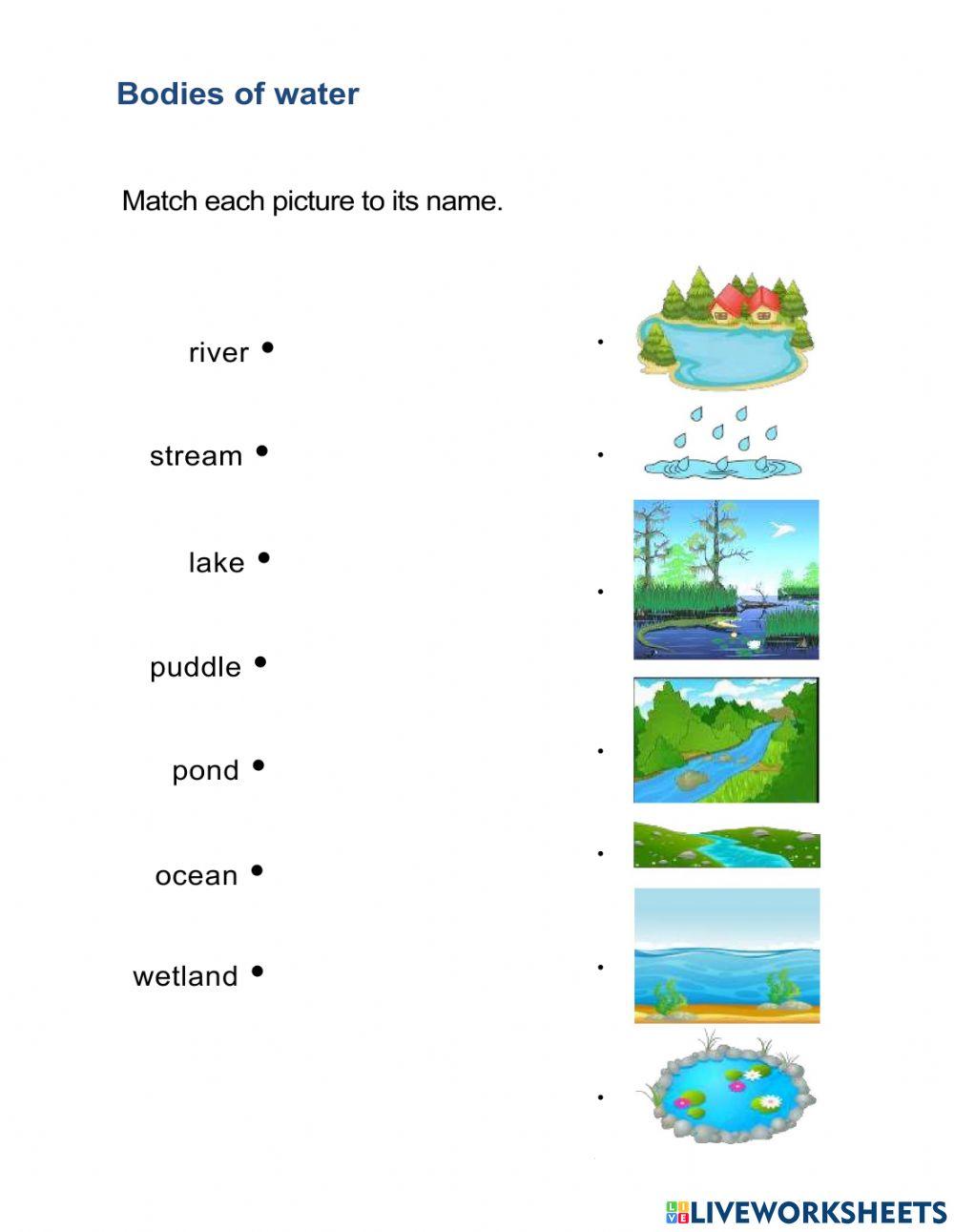 Activity 2 Water Bodies online exercise for Live Worksheets Activity 2 Water Bodies online exercise for Live Worksheets