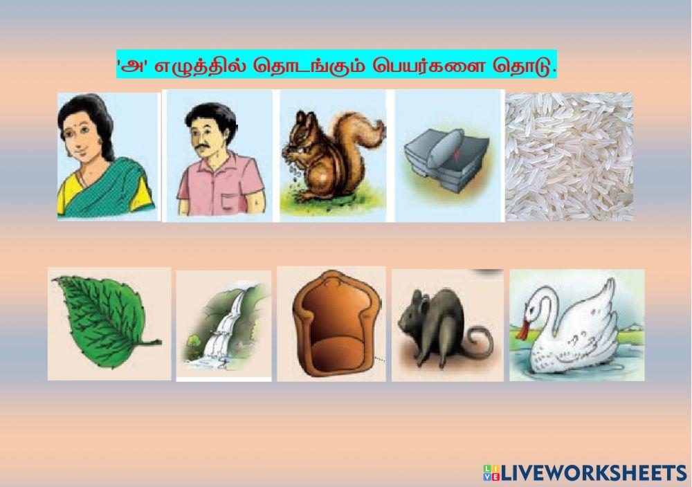 அ எழுத்தில் தொடங்கும் படங்களைத் தேர்ந்தெடு