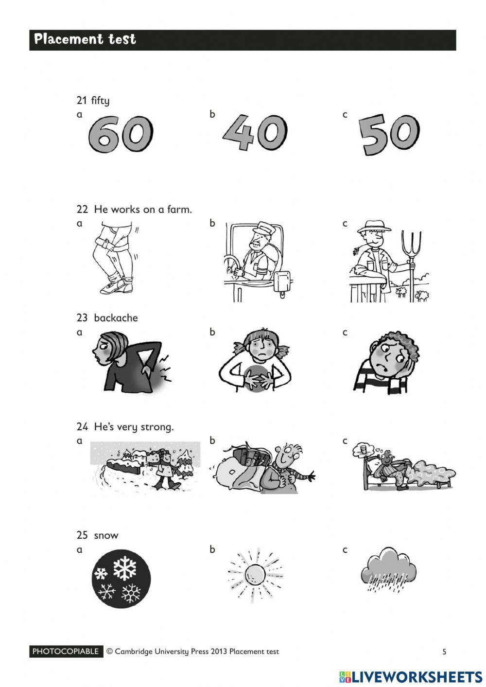 6881433 placement test for kids margarita nesterova