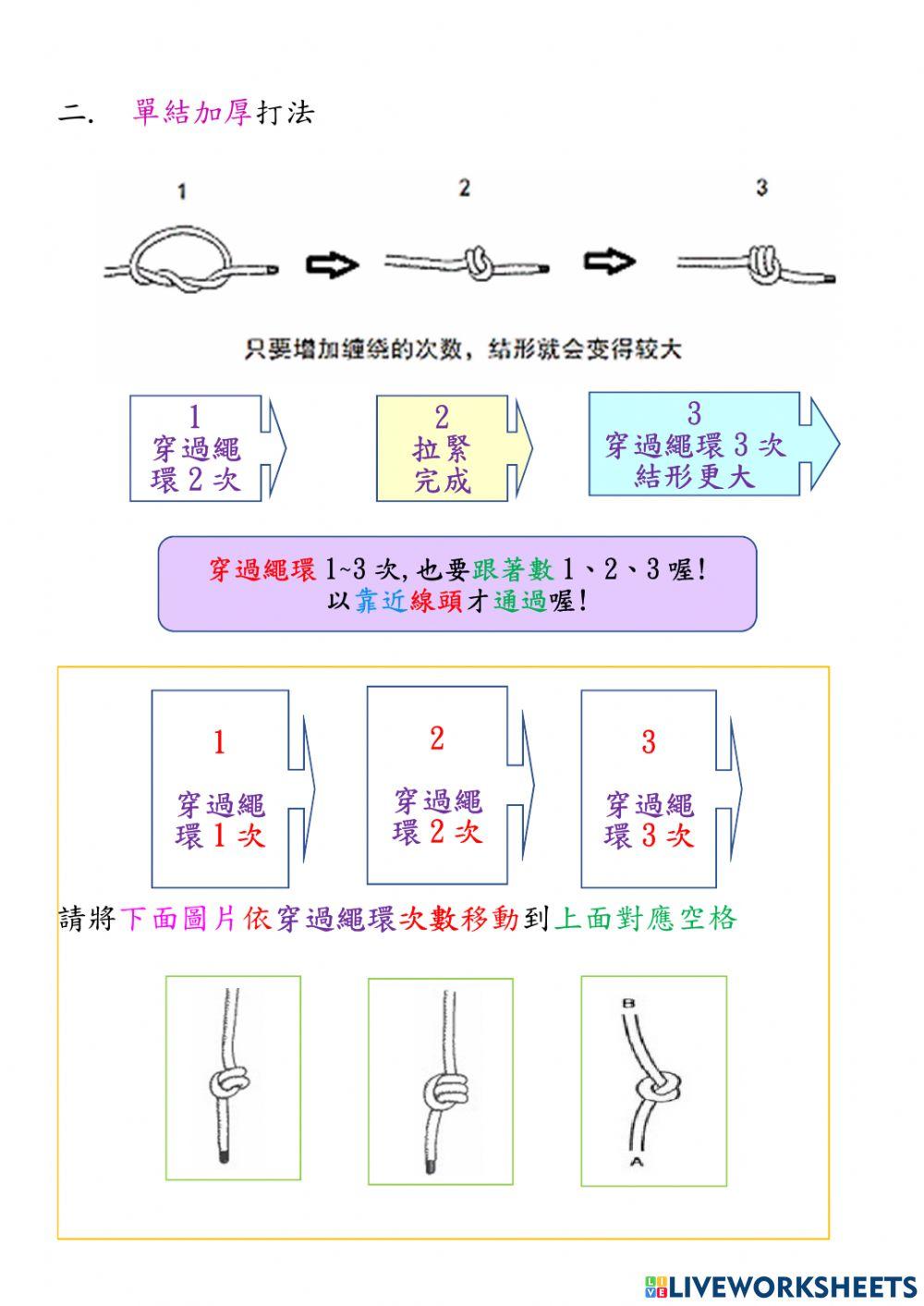動作機能訓練-生活繩結-單結與活結