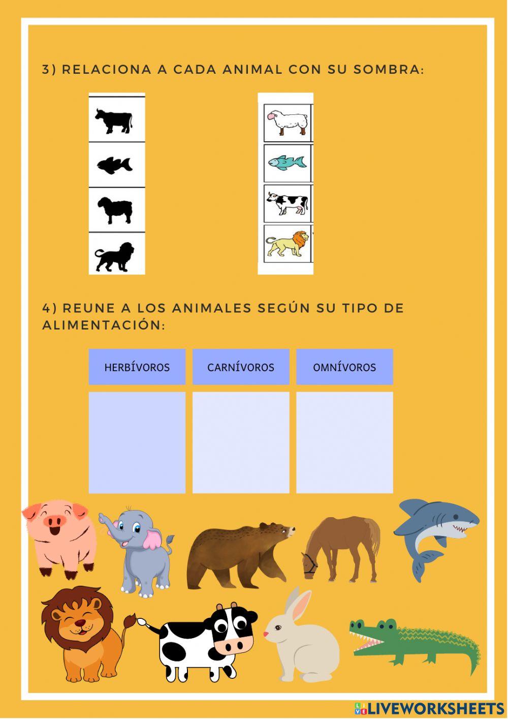 Conociendo a los animales