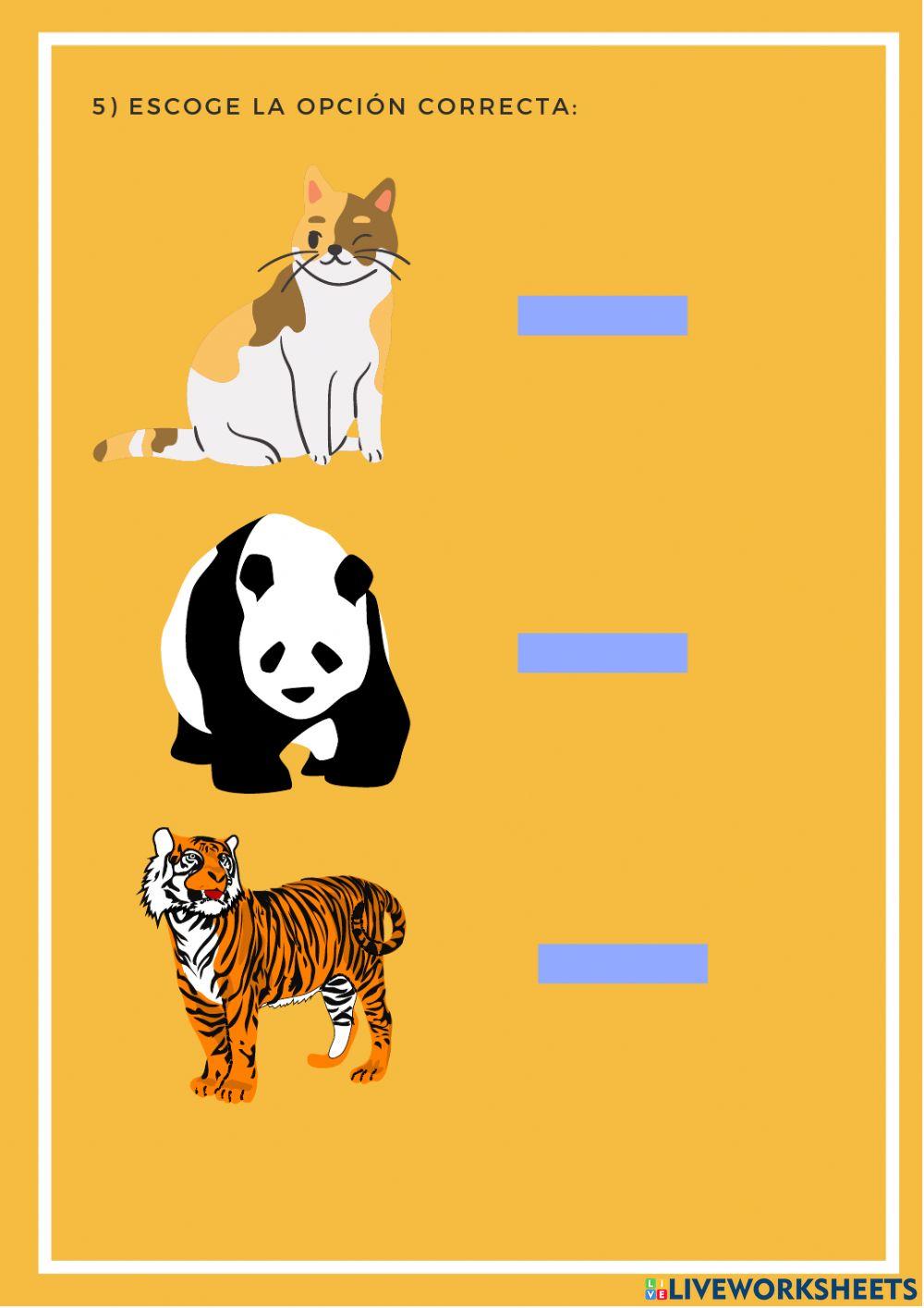 Conociendo a los animales