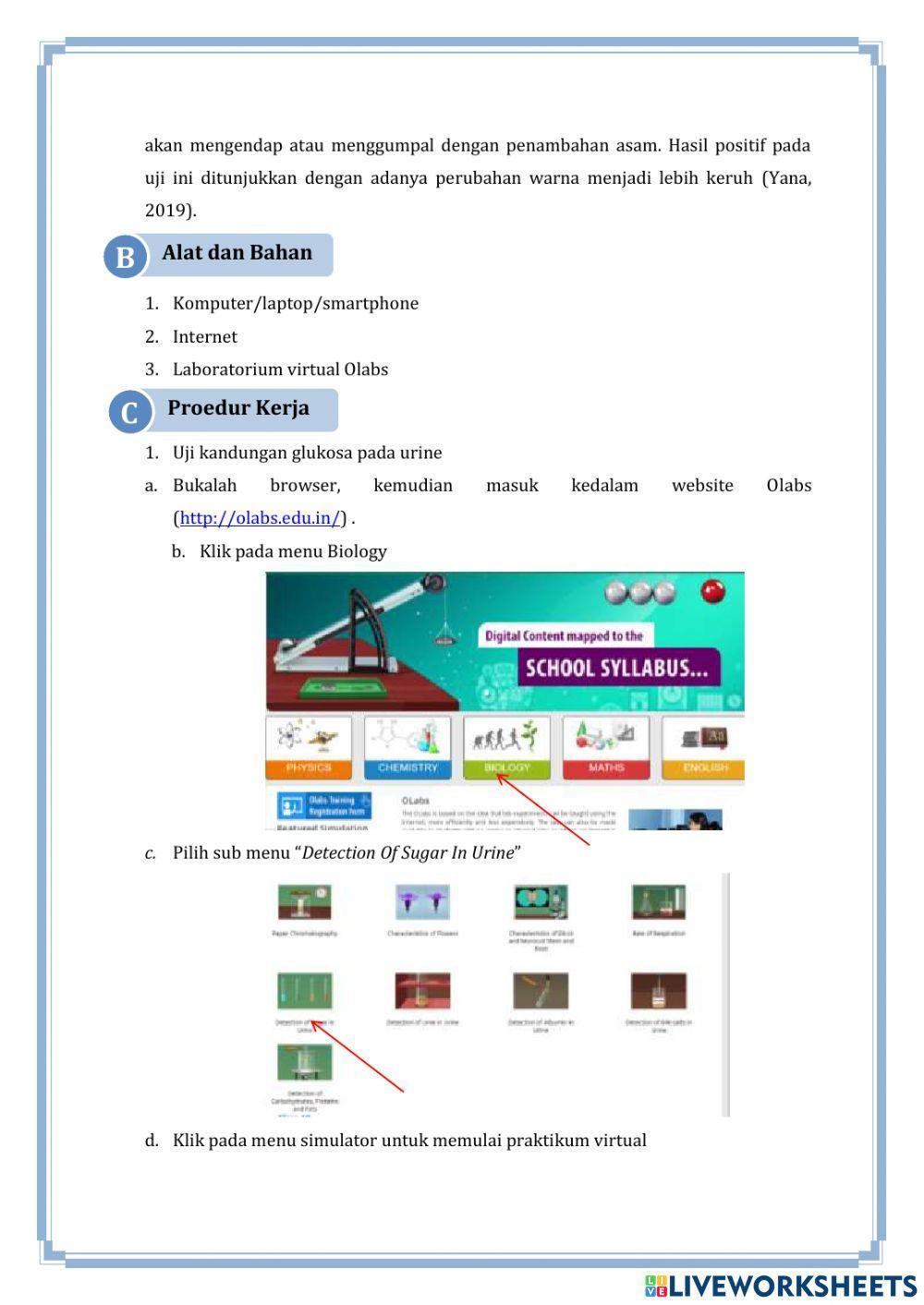 E-LKPD Gangguan Sistem Ekskresi
