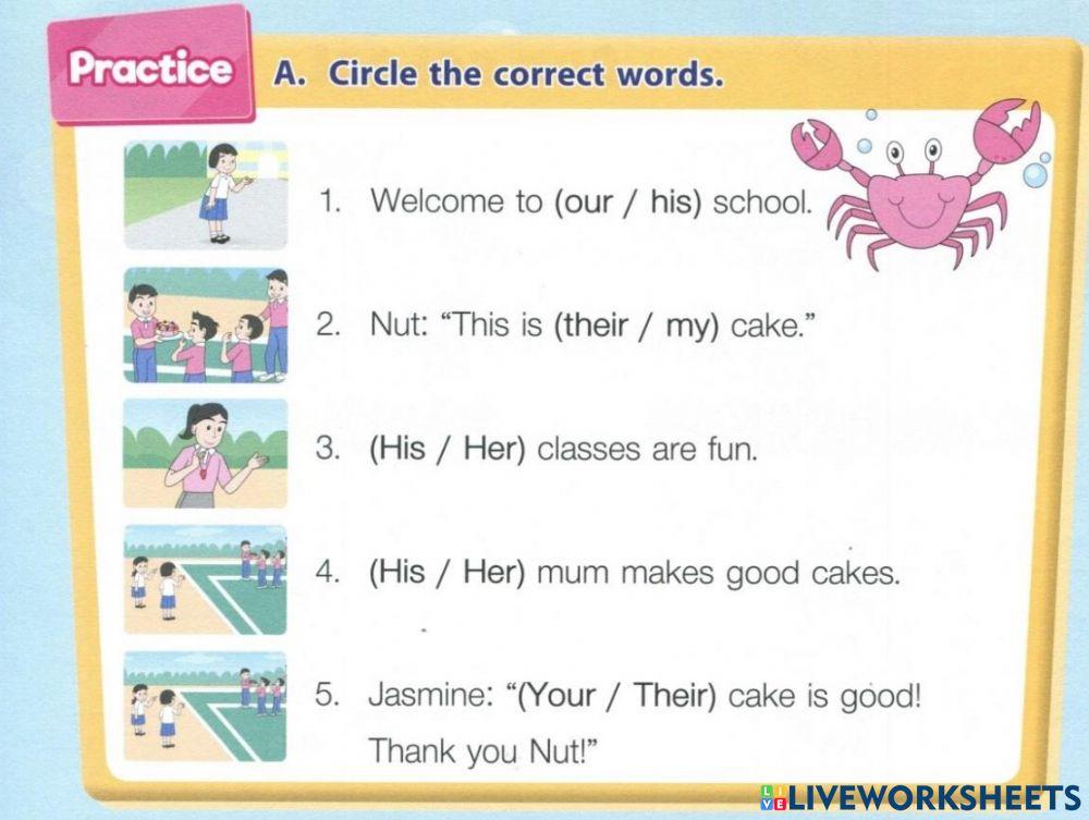Circle the correct words.6